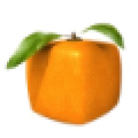 Net Tangerine, Inc. Logo