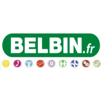 Belbin France Logo