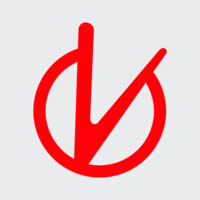 Visual Software Logo