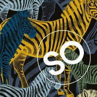 SO Brand Creative Logo