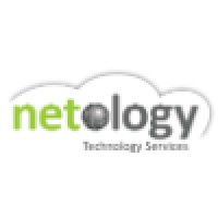 Netology, LLC. Logo