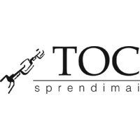 TOC sprendimai Logo