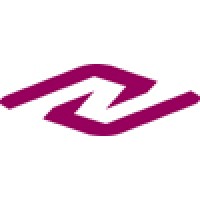 NAICON s.r.l. Logo