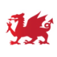 Red Dragon I.T. Ltd. Logo