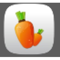 Robusoft(Beijing) Logo