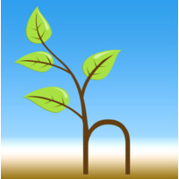 A New Hope Bible Church Logo