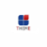 Theme International Education and Consultancy Inc. Logo