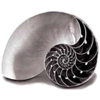 Inner Strength Coaching Logo