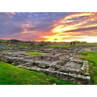 THE VINDOLANDA TRUST Logo