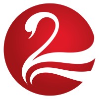 Chongqing Cygnet Investment Group Logo