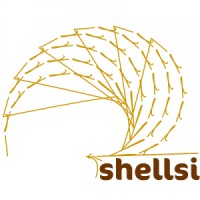 ShellSi Ltd Logo