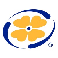In-Situ Process Logo