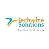 Techwize Solutions Logo