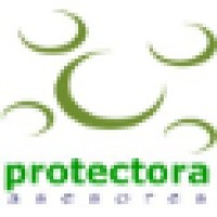 Protectora Asesores Logo