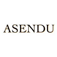 Asendu, LLC Logo