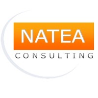 NATEA Consulting Logo