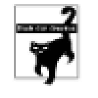 Black Cat Creative Logo