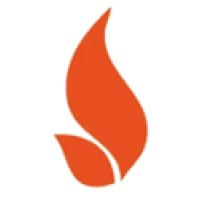 SECURIFLAME LIMITED Logo