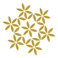 Sonder Behavioral Health & Wellness Logo