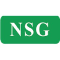 NSG Consultoria Ltda - Certificadora de Conteúdo Local Logo