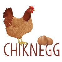 Chiknegg Productions, LLC Logo