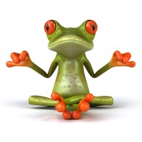 Big Frog Custom T-Shirts & More of Avon Logo