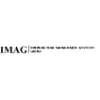 COOLVentures International Management Advisory Group (IMAG) Logo