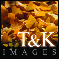 T&K Images - Fine Art Photography Logo