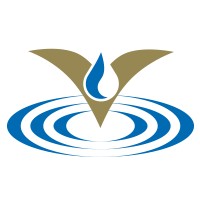 De Veranderspecialist Logo