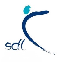 STEERING DEVELOPMENTS LIMITED Logo