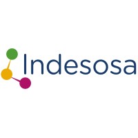 Indesosa Logo
