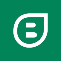 BDI Logo