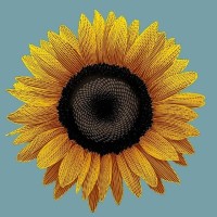 Stratford Summer Music Logo
