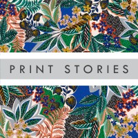PRINT STORIES LTD Logo
