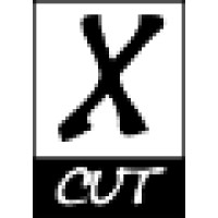 Crosscut Consulting Logo