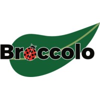 Broccolo Tree and Lawn Care Logo