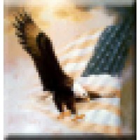 American Eagle Steel Co., LLC Logo