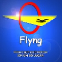 FLYNG COMERCIO DE PRODUTOS NAO PERECIVEIS EIRELI Logo
