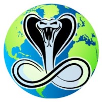 COBRA INTERNATIONAL SECURITY LIMITED Logo