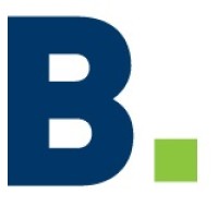 Bolsterstone Group PLC Logo