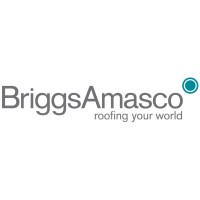 Briggs Amasco Ltd Logo