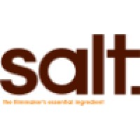 The Salt Company Logo