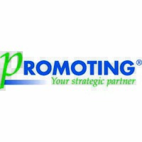 Promoting USA Logo