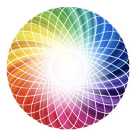 Options Naturopathic Clinic Logo