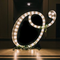 The Little Orchestra Logo