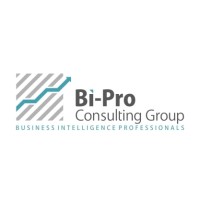 BI-Pro Consulting Group Sp. z o.o. Logo
