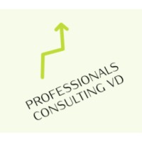 Professionals Consulting VD S.A Logo