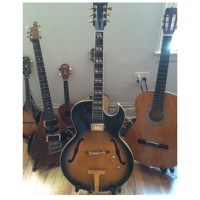 Stens Guitar Studio ( NYC Guitar Studio ) Logo