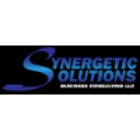 Synergetic Solutions Business Consulting LLC Logo