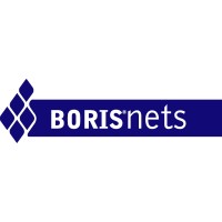 Boris Net Ltd Logo